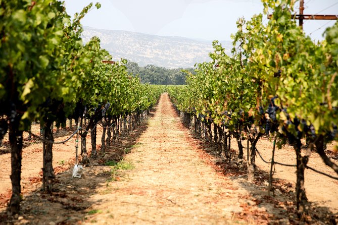 Napa and Sonoma Wine Country Full-Day Tour from San Francisco - Artesa Winery, views, art, and higher bottle prices