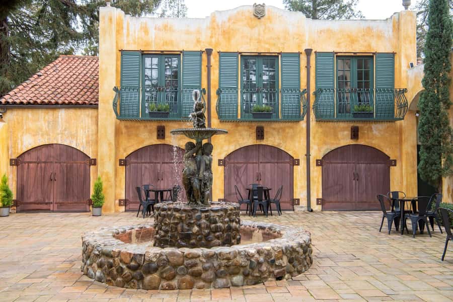 Napa Valley: ATV Vineyard Tour with Wine Tasting - Learning the route from seed to glass