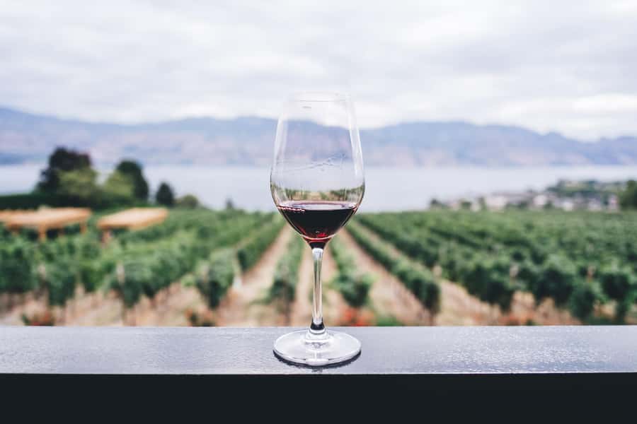 Napier: Art Deco Bike Ride and Wineries Loop - From Ahuriri harbor to Napier’s Art Deco center