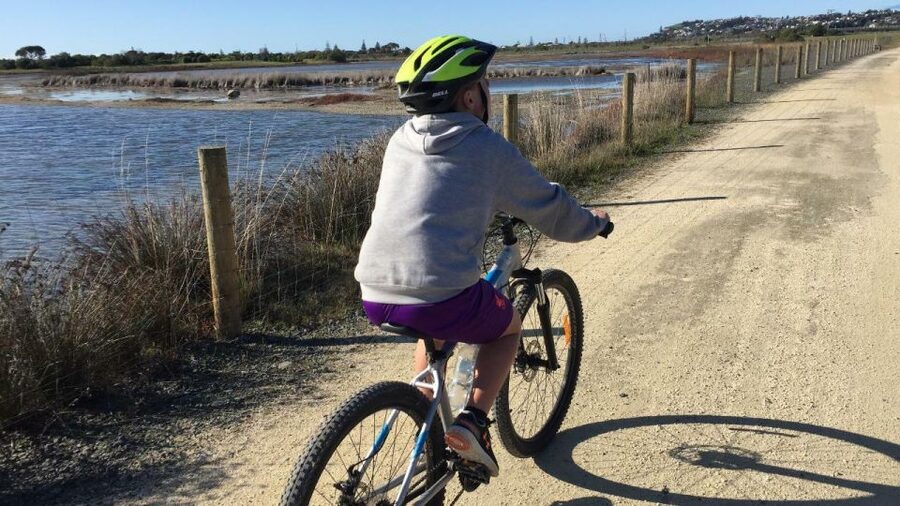 Napier: Art Deco Bike Ride and Wineries Loop - The Ahuriri Estuary and its birdlife