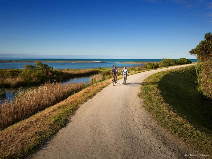 Napier: Cape Coast Winery Tour on E-Bikes - Key points to know before you book