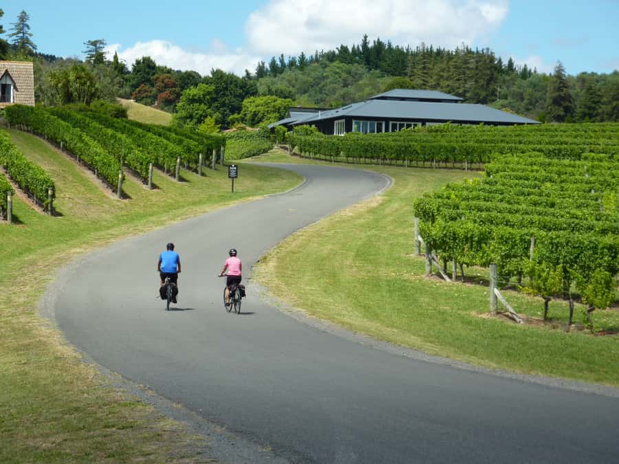 Napier: Cape Coast Winery Tour on E-Bikes - The coast, Clearview Estate, and Elephant Hill