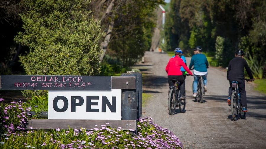 Napier: Cape Coast Winery Tour on E-Bikes - Te Mata Estate and Black Barn Winery