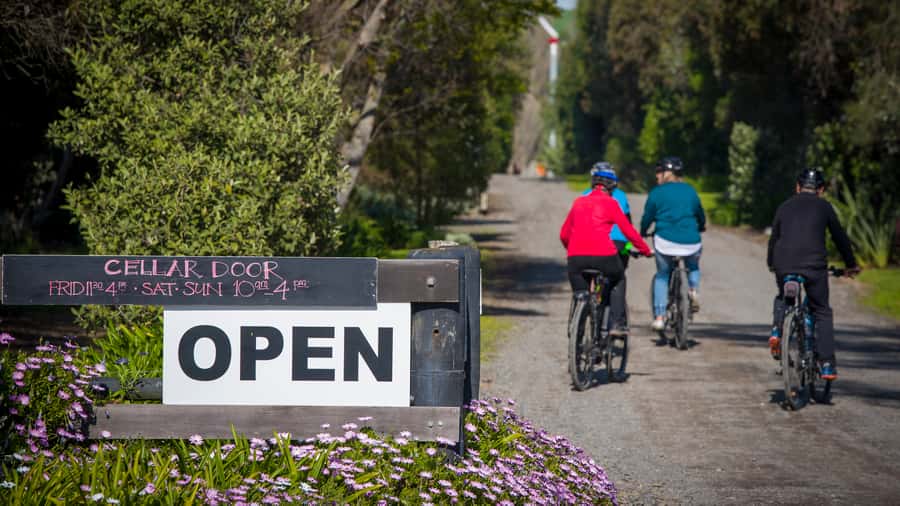 Napier: Cape Coast Winery Tour on E-Bikes - What the NZ$89 price really covers