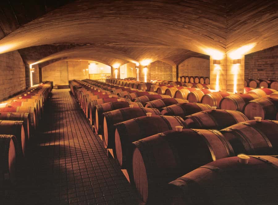 Napier Craggy Range Wine tour with Te Mata Peak summit views - Te Mata Peak and the Heretaunga Plains