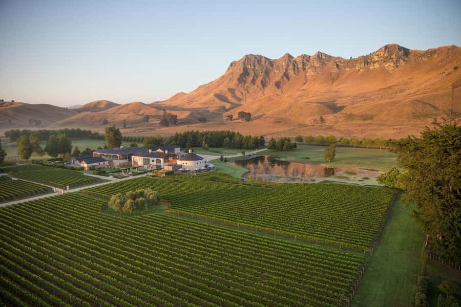 Napier Craggy Range Wine tour with Te Mata Peak summit views - Te Mata Estate: a second glass with a different feel