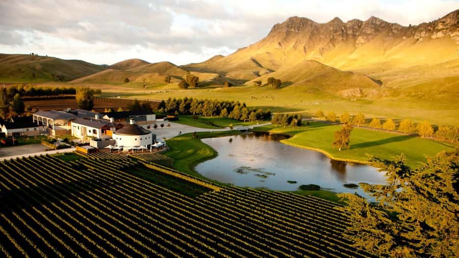 Napier Craggy Range Wine tour with Te Mata Peak summit views - Small-group comfort and practical limits