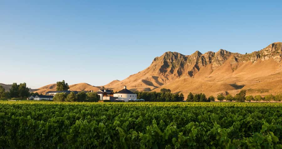 Napier Craggy Range Wine tour with Te Mata Peak summit views - Leaving Napier for Havelock North
