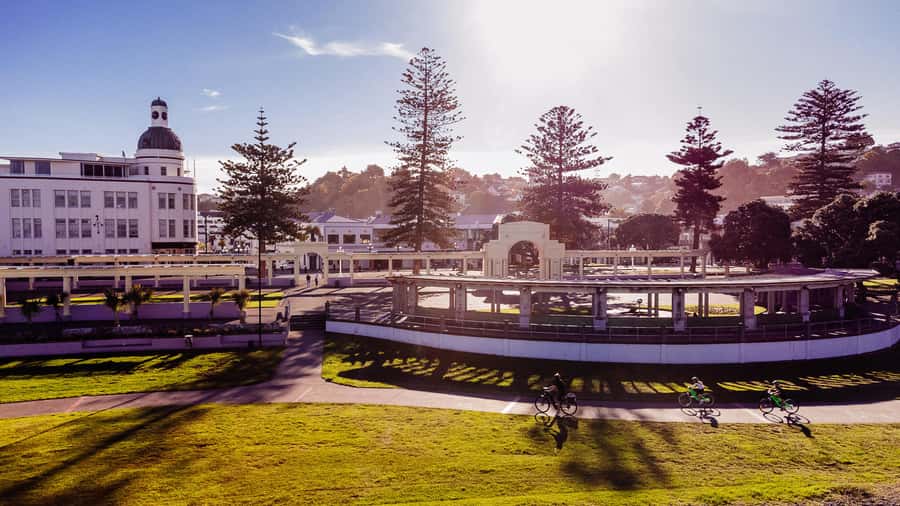 Napier: Cruise Self-Guided Cycle Ride to Winery - Half Day - Making the winery stops work
