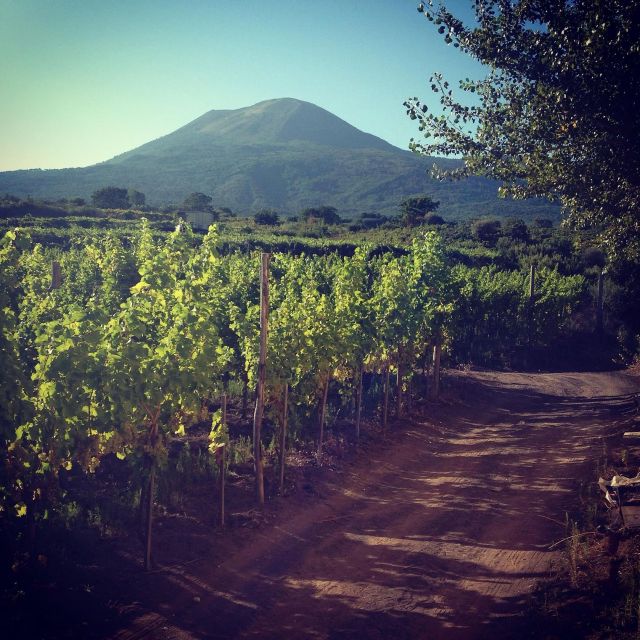 Naples: Mount Vesuvius Vineyard Tour w/ Lunch & Wine Tasting - A homemade Neapolitan lunch, not just a snack