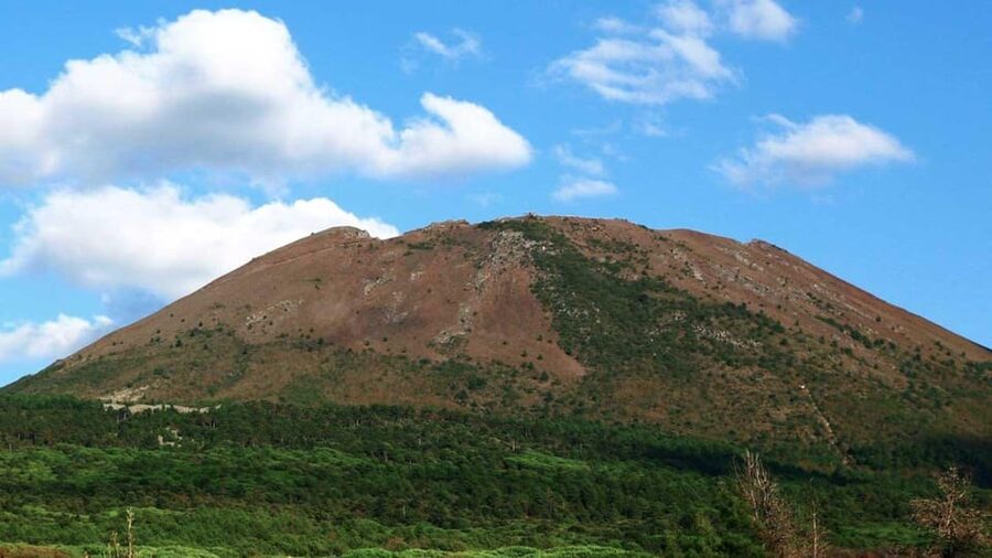 Naples: winery tour & wine tasting on Astroni crater - Who will enjoy this visit most