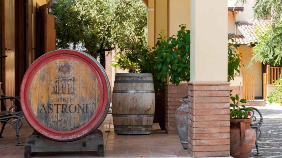 Naples: winery tour & wine tasting on Astroni crater - Walking the vineyards above Via Sartania