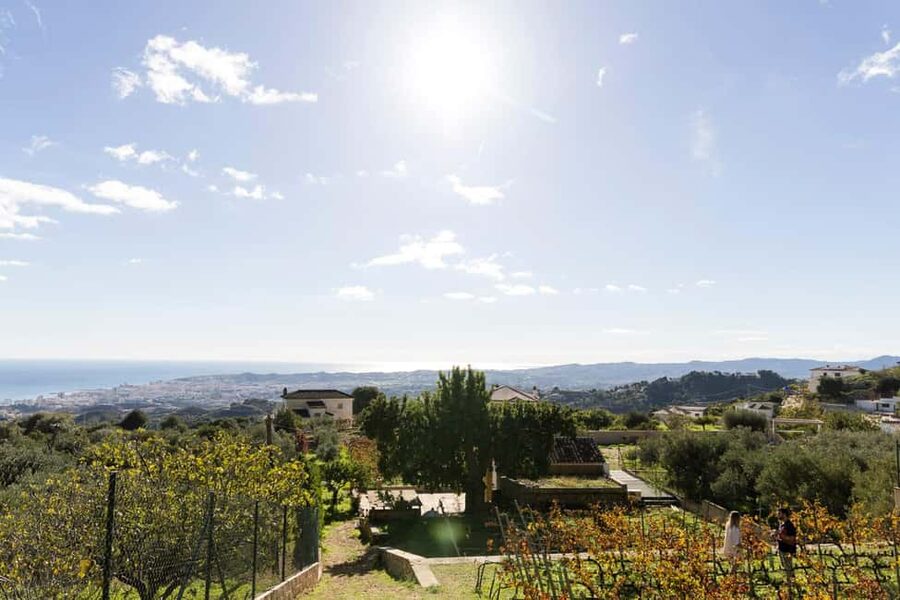 Near Malaga: Mijas Organic Vineyard, 5 Wines, 2 Oils & Tapas - Key points at a glance