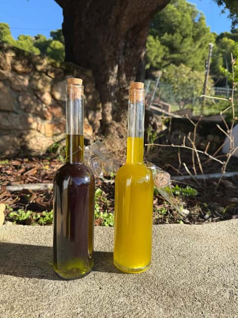 Near Malaga: Mijas Organic Vineyard, 5 Wines, 2 Oils & Tapas - A private vineyard above the Costa del Sol