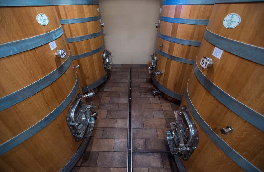 Neive: Visit the Winery and Taste 5 Wines - Tasting five organic wines in historic Neive