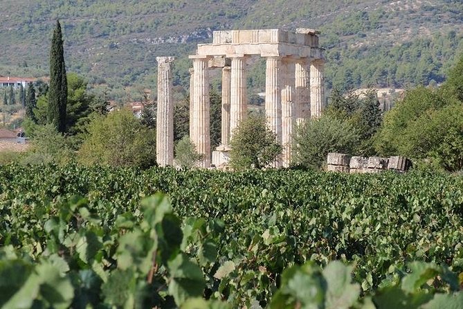 Nemea wine roads, The most famous wine tour in Greece - Key points to know before booking