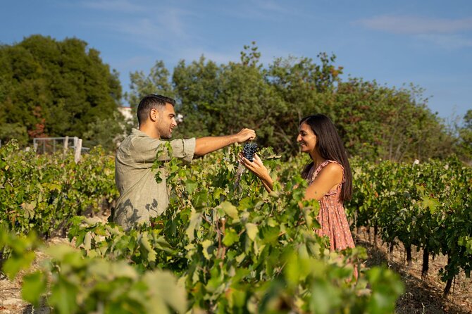 Nemea wine roads, The most famous wine tour in Greece - The Corinth Canal stop takes only 15 minutes