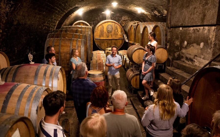 Neustadt: Wine tasting with cellar tour and vineyard visit - Practical details for a smoother visit