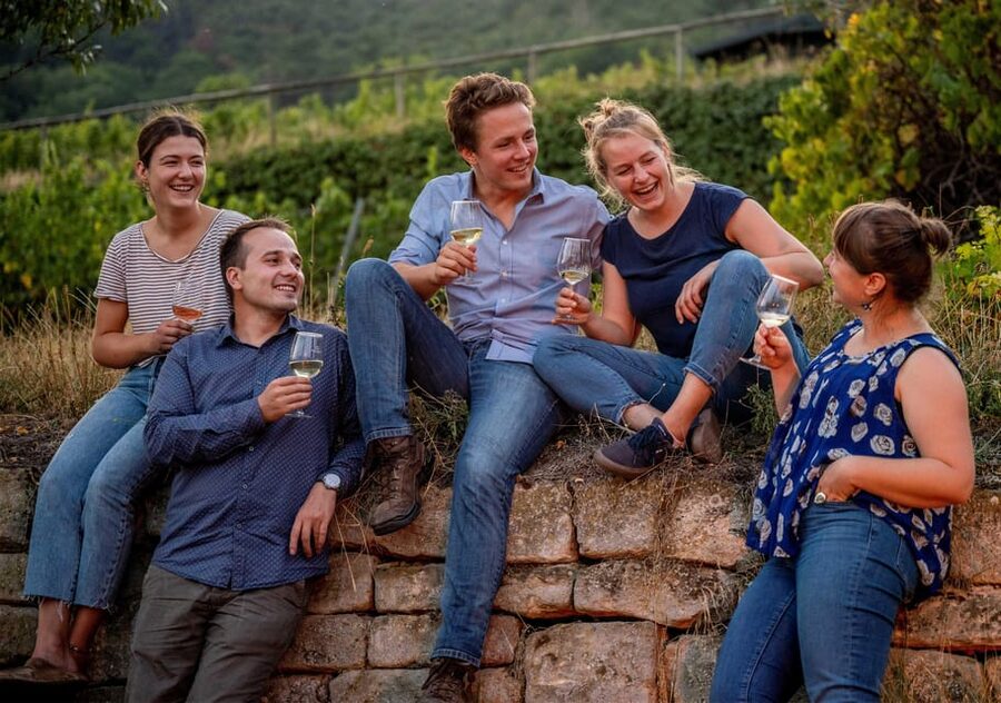 Neustadt: Wine tasting with cellar tour and vineyard visit - The tasting: one sparkling wine and six Palatinate bottles
