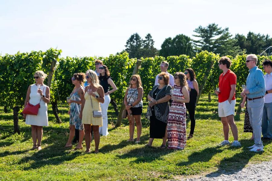 Newport: Vineyards Winery Tour + Tasting - Considering the $38 price