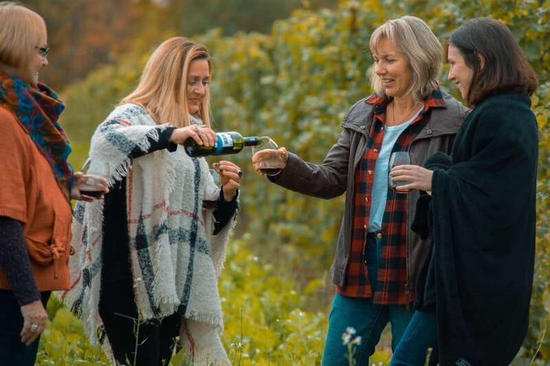 Niagara, Canada: Half-Day Winery Tour with Tastings - Key points to know before booking
