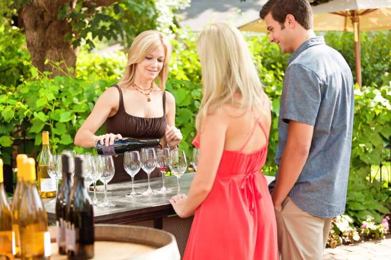 Niagara, Canada: Half-Day Winery Tour with Tastings - Niagara College Teaching Winery for a different point of view