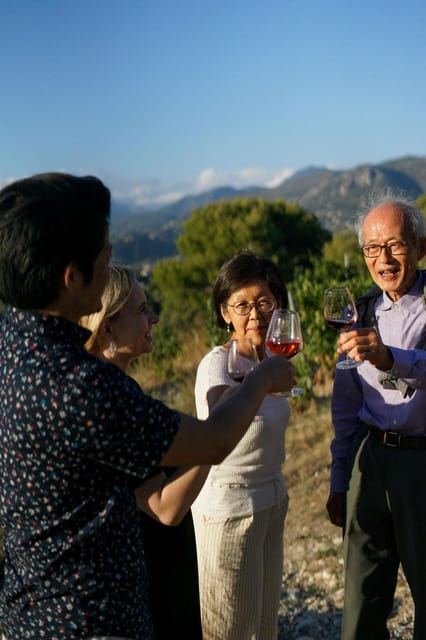 Nice: Vineyard Tour with Wine Tasting - Key points at a glance