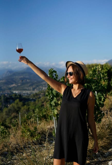 Nice: Vineyard Tour with Wine Tasting - Walking through the vineyard for one hour