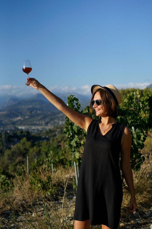 Nice: Vineyard Tour with Wine Tasting - The transport choice from central Nice