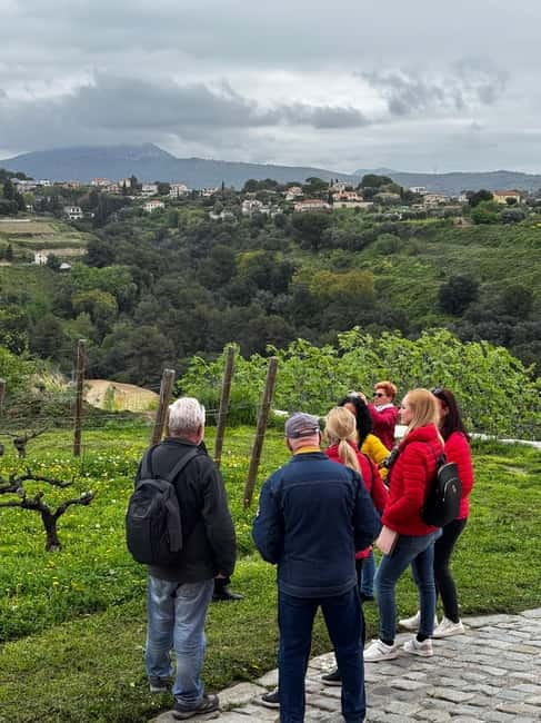Nice : Wine Tasting at a Historic Château in a Land Rover ! - Six wines in the cellar