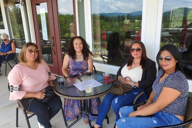 North Georgia Mountains TWO Vineyard Wine Tasting Tour - Lunch, wine slushies, and the small extras
