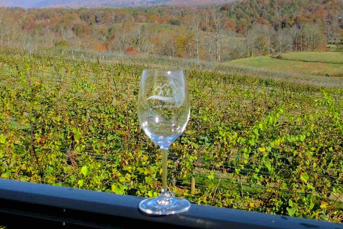 North Georgia Wine Country Tour from Atlanta - What the $129.99 price really covers