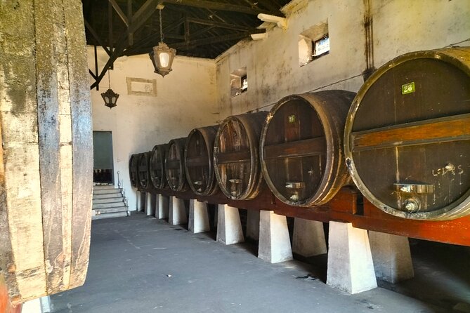 Óbidos, Nazaré and Wineries, Day Private Tour by SUV from Lisbon - Caldas da Rainha is a useful bonus, not a promise