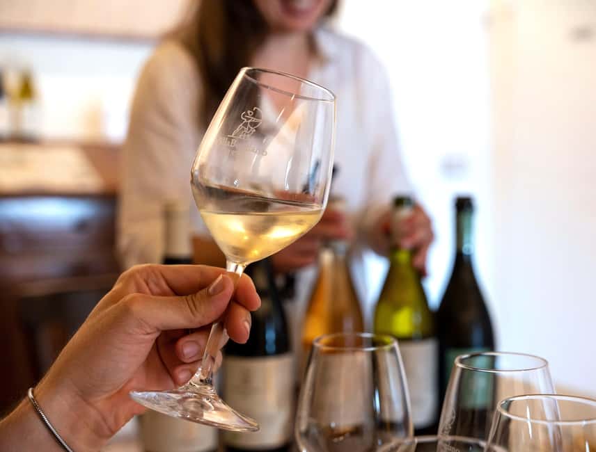 Off-road tour through vineyards and organic wine tasting at Villa Bogdano 1880 - Should you book Villa Bogdano 1880?