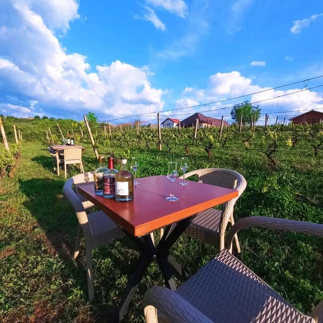 Ohrid: S&S Winery Tour and Wine Tasting Experience - Practical planning for your Ohrid stay