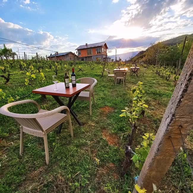 Ohrid: S&S Winery Tour and Wine Tasting Experience - Five wines, plus liqueur and brandy
