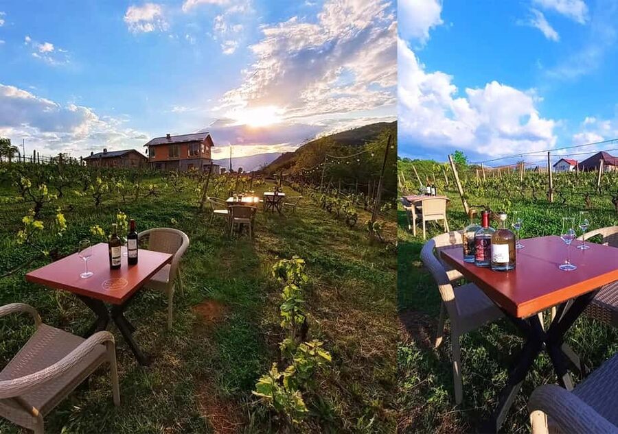 Ohrid: S&S Winery Tour and Wine Tasting Experience - A relaxed 150-minute pace