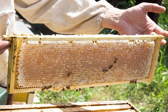 Okanagan Bee Tour and Lunch at Winery in Kelowna - Why this Kelowna outing feels different