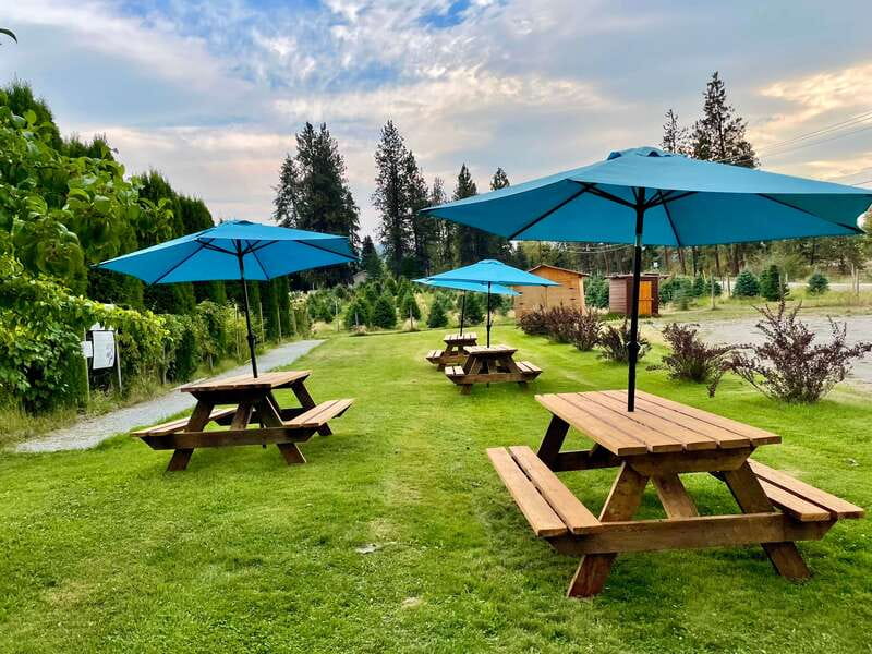 Okanagan Bee Tour, Wine Tasting and Lunch at Kelowna Winery - Is $50 a good value?