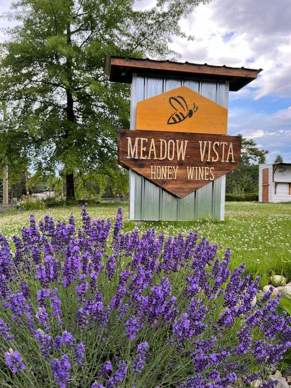 Okanagan Bee Tour, Wine Tasting and Lunch at Kelowna Winery - Practical tips for a smooth visit