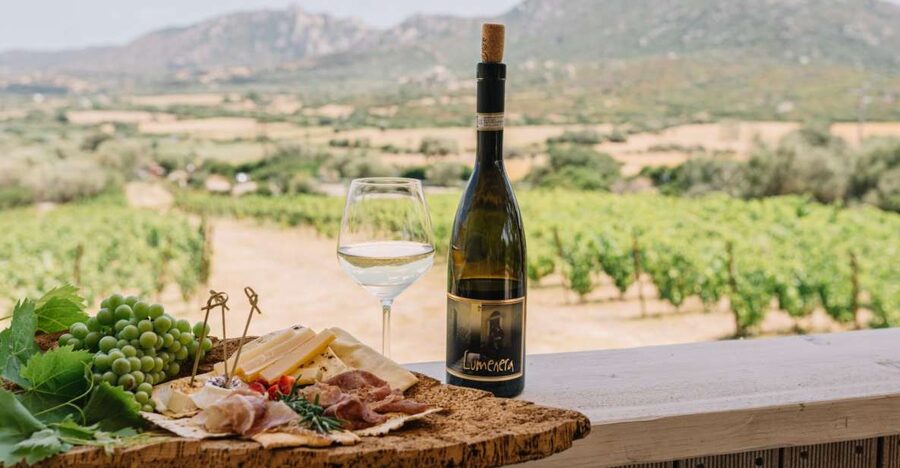 Olbia: Gallura Winery Guided Tour with Tasting - Key points to know before you go
