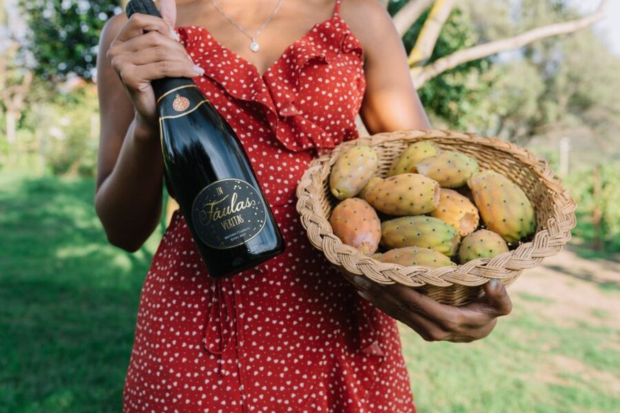 Olbia: Gallura Winery Guided Tour with Tasting - A family winery in the hills outside Olbia
