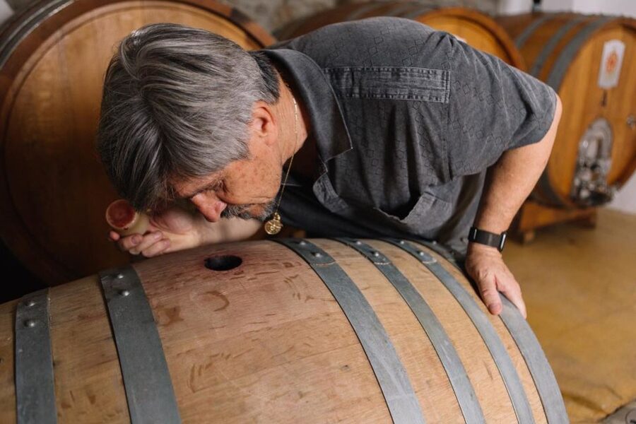 Olbia: Gallura Winery Guided Tour with Tasting - Three wines and a proper Sardinian snack