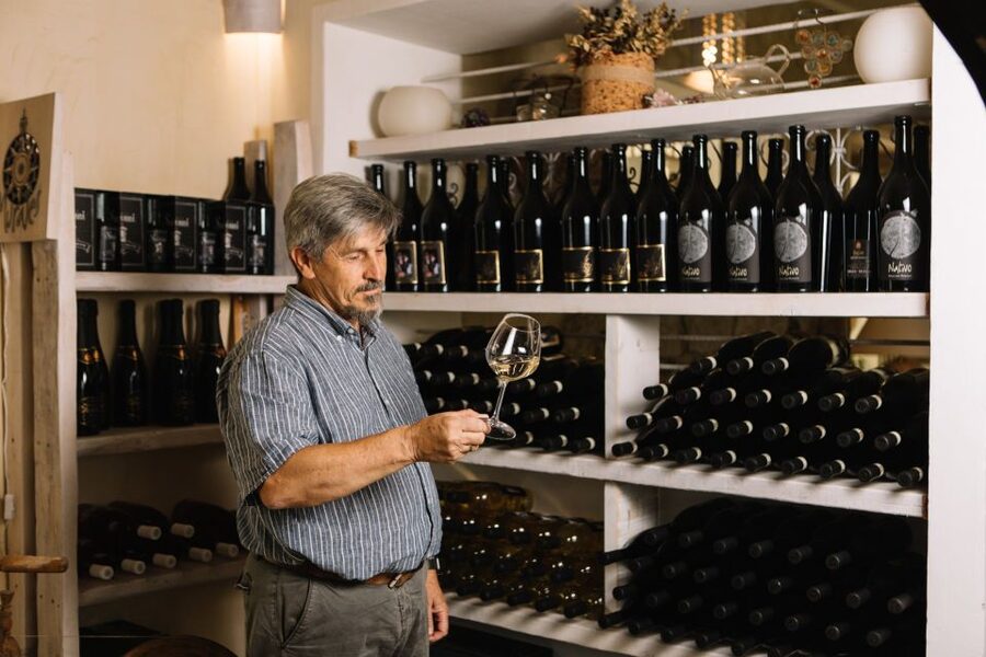 Olbia: Gallura Winery Guided Tour with Tasting - The rescue animals are more than a side attraction