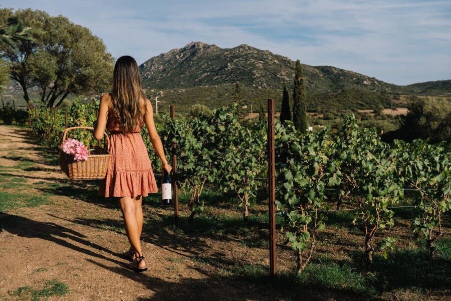 Olbia: Gallura Winery Guided Tour with Tasting - Language, children, and practical comfort