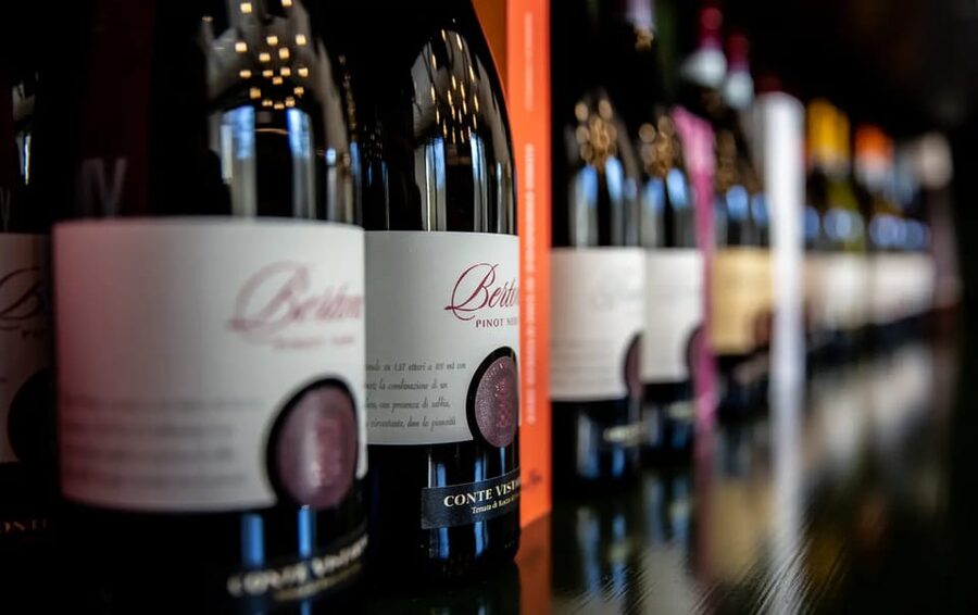Oltrepò Pavese: Winery Tour and Wine Tasting outside Milan - Is $47 a fair price?