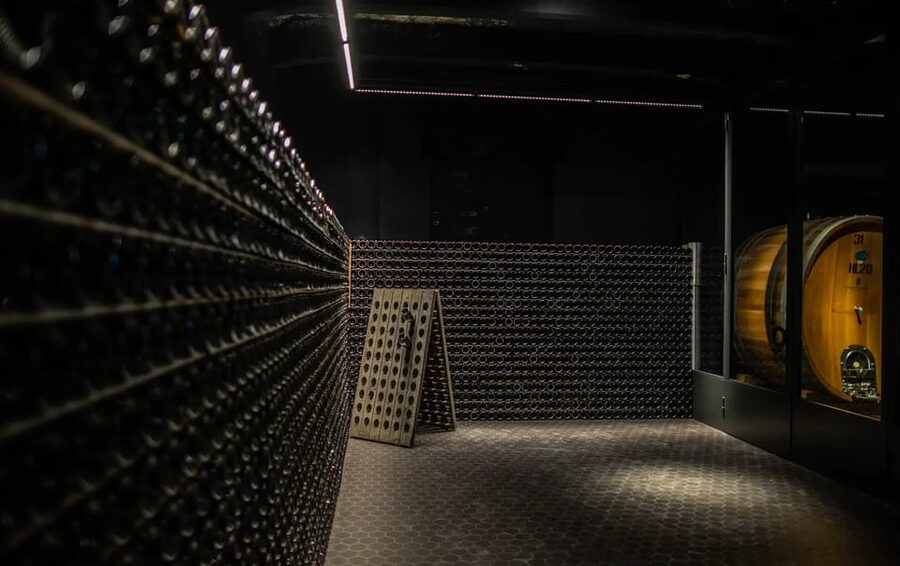 Oltrepò Pavese: Winery Tour and Wine Tasting outside Milan - Who will enjoy this experience most?