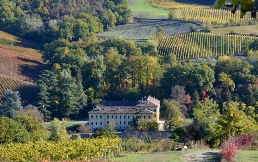 Oltrepò Pavese: Winery Tour and Wine Tasting outside Milan - Booking advice and final verdict
