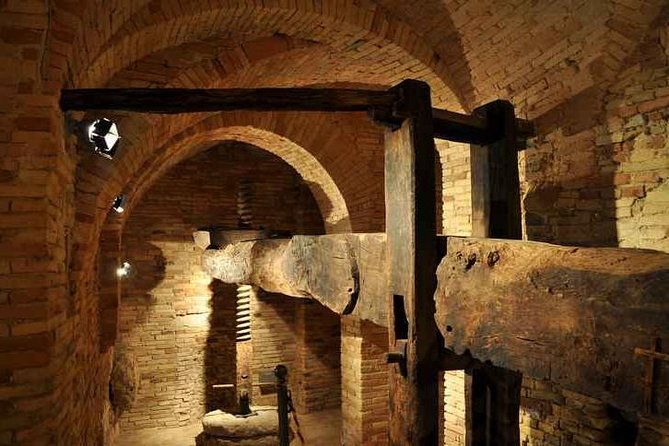 Organic Wine Tasting & tasting of EVO CantinArte OIL MUSEUM - Tasting organic olive oil from Abruzzo