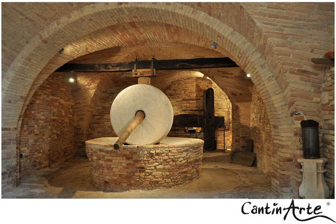Organic Wine Tasting & tasting of EVO CantinArte OIL MUSEUM - Inside Museo dell’Olio di Cantinarte